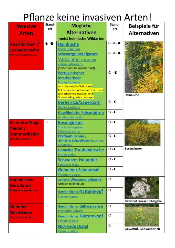 Foto von Seite 2 der Liste über invasive Arten.