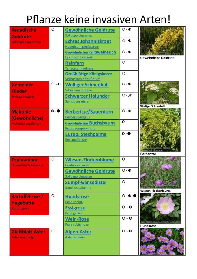 Foto von Seite 1 der Liste über invasive Arten.